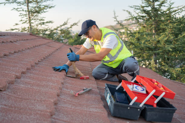 Best Roof Replacement Cost  in Alvord, TX